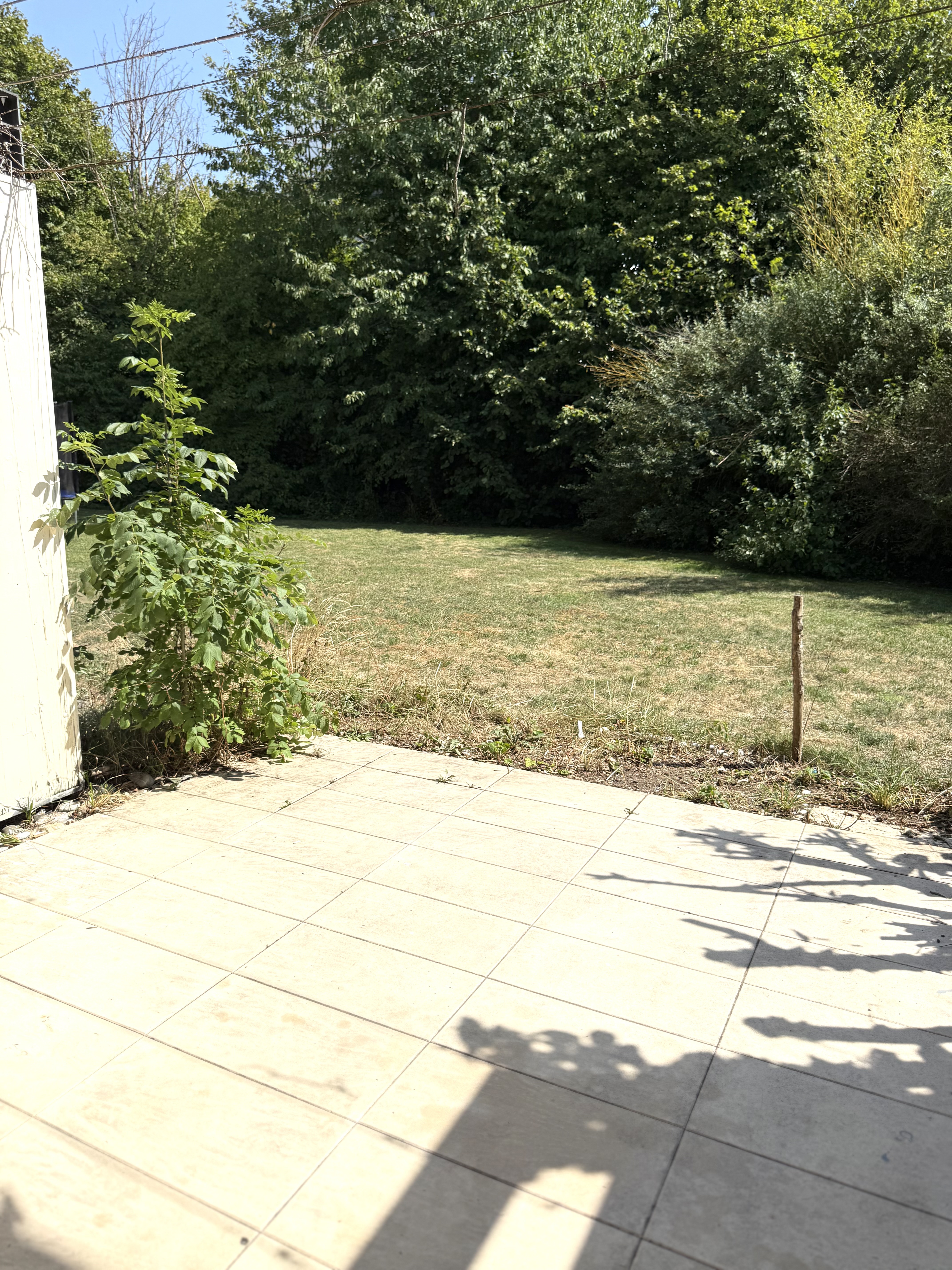 IMG 0916